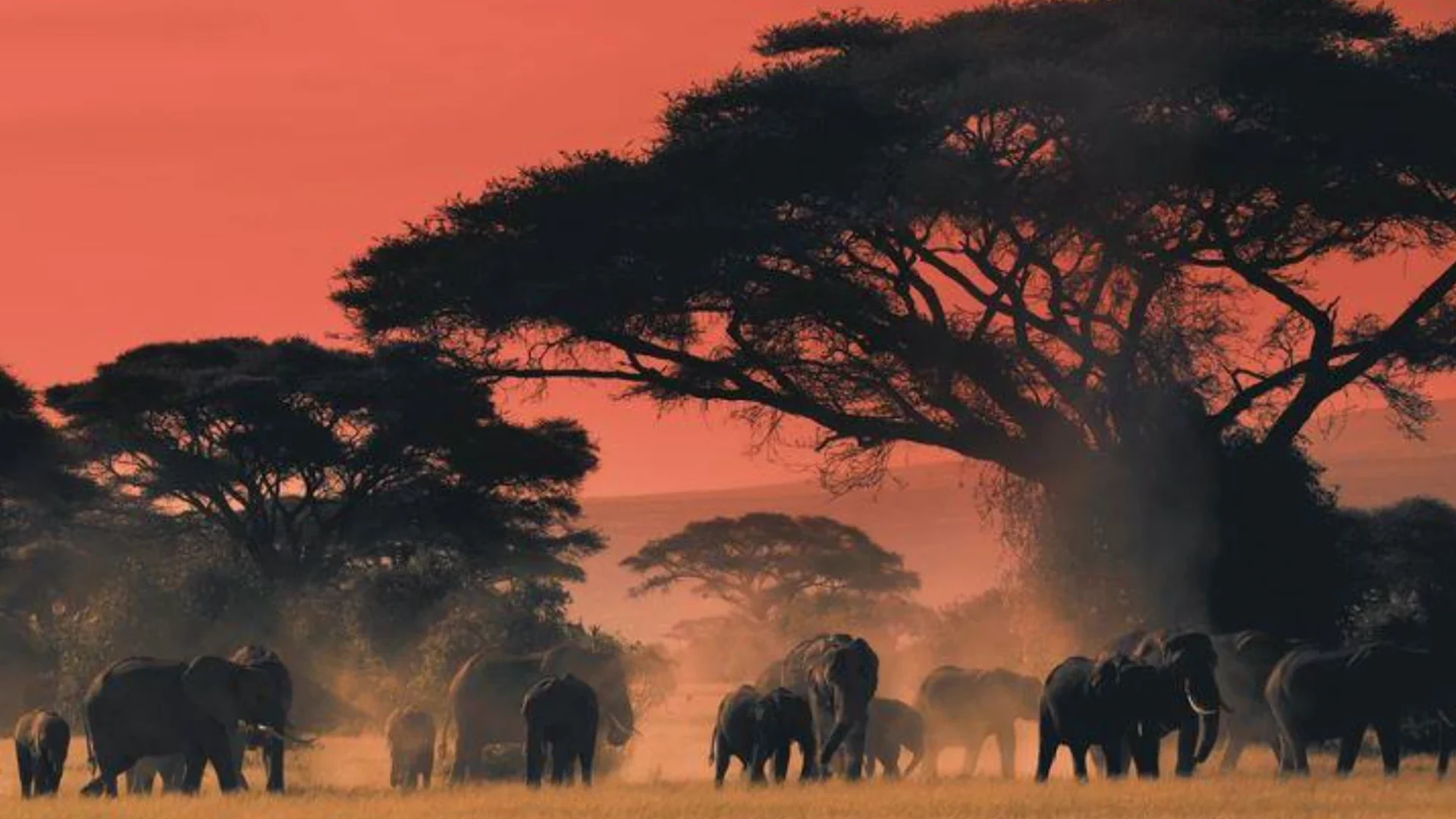 Celebrare la Terra: Un Giorno per Fotografare la Bellezza del Nostro Pianeta