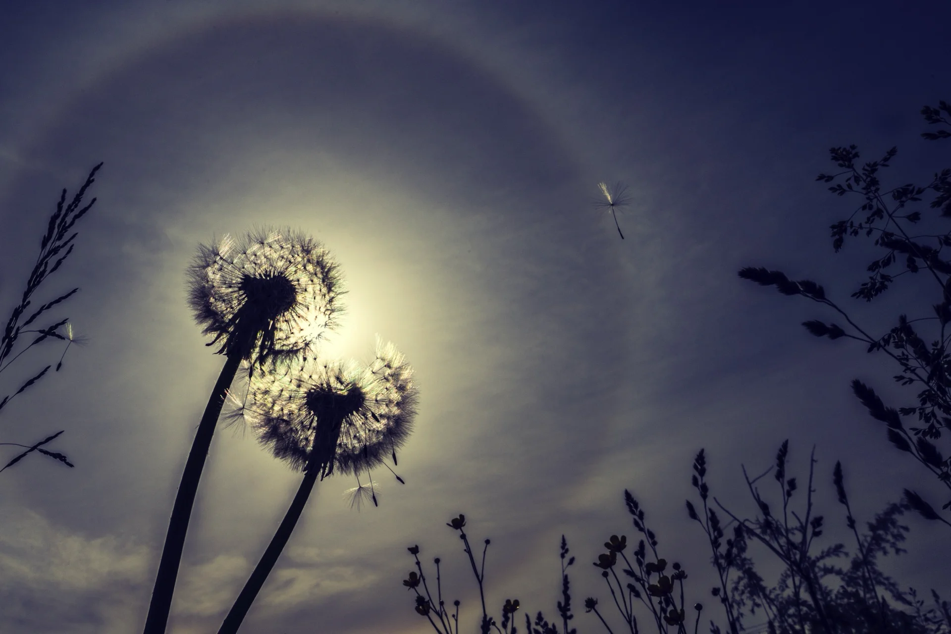 Paesaggio innevato con relitto, promuove corsi fotografia online Photolab Academy di Elisabetta Rosso.