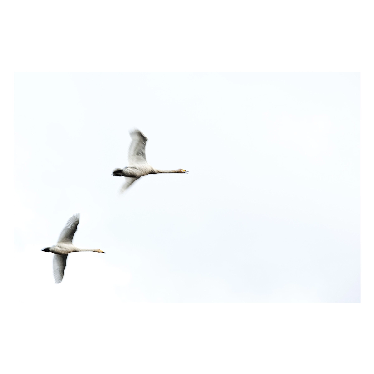 Creatività Fotografica - Corso fotografia online Photolab Academy