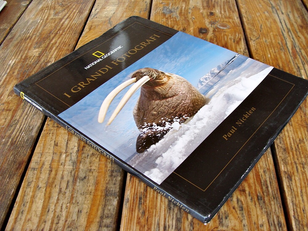 Libro Elements di Elisabetta Rosso, ispirazione fotografica per il corso Grandi Autori Photolab Academy.