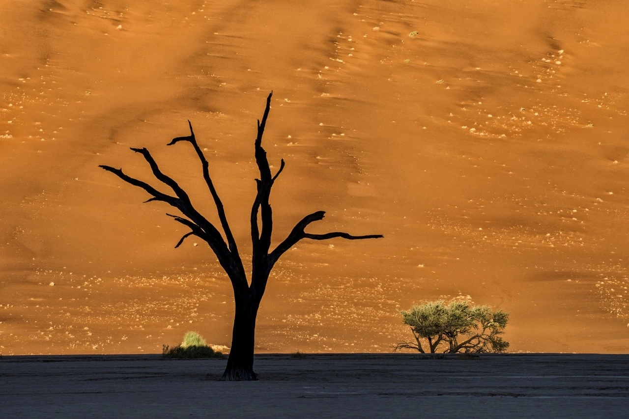 Deadvlei alba viaggio fotografico Namibia Elisabetta Rosso