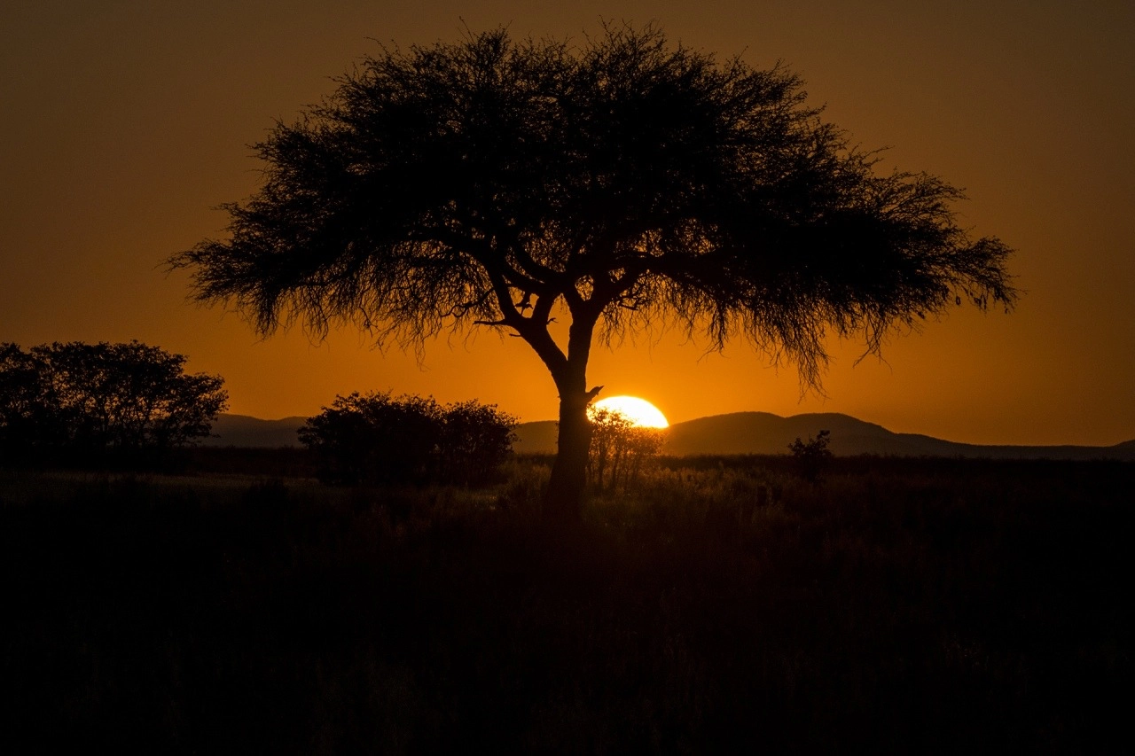 Fenicotteri tramonto Walvis Bay viaggio fotografico Namibia
